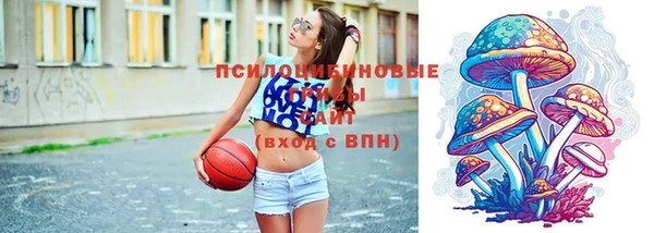 ALPHA-PVP Богородицк